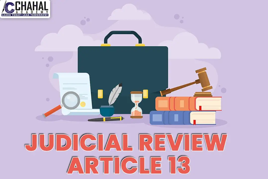 Judicial Review Article 13