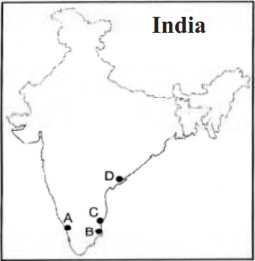 MCQ Question Image