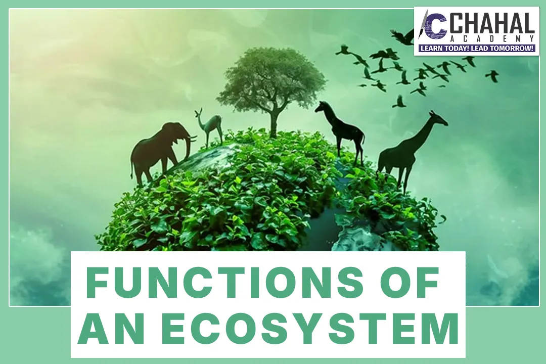 FUNCTIONS OF AN ECOSYSTEM