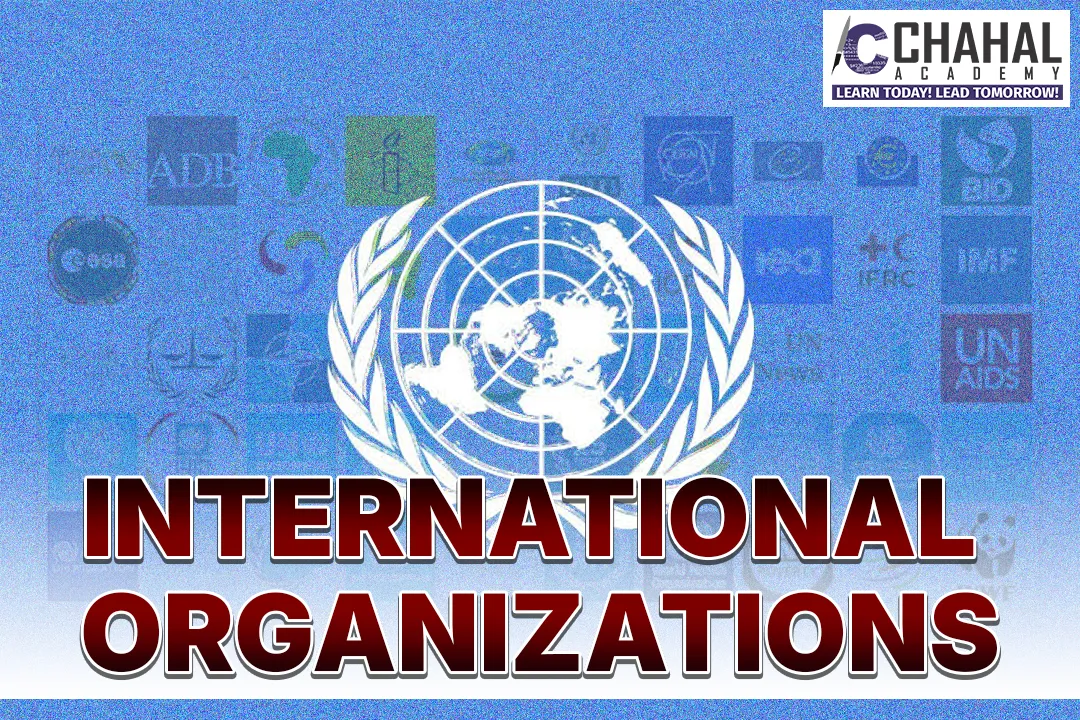 INTERNATIONAL ORGANIZATIONS
