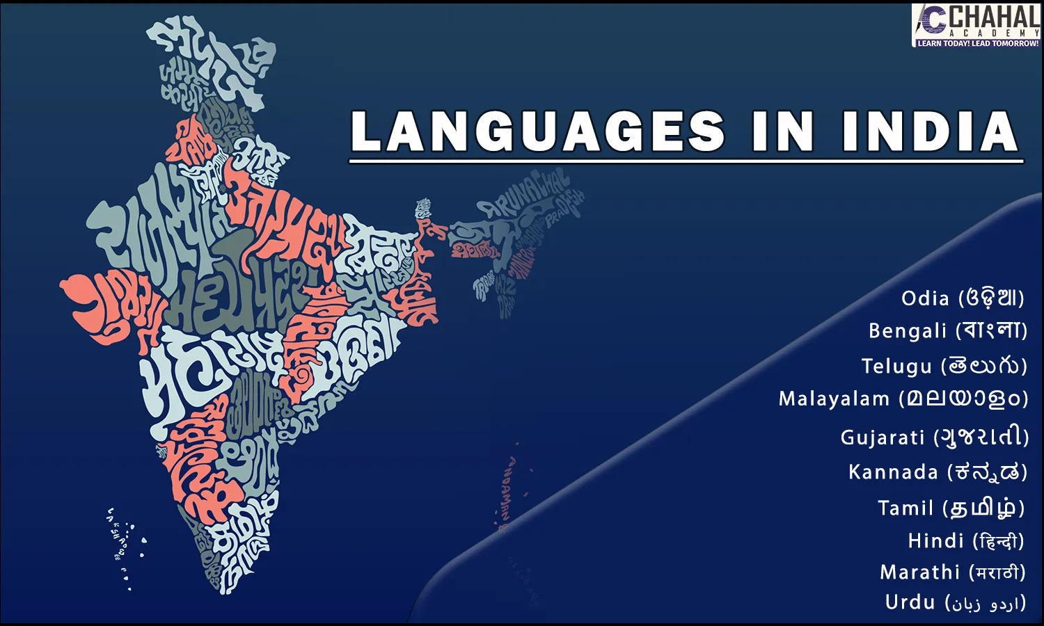 LANGUAGES IN INDIA